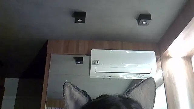 Snapshot of Skinny-Kitten chatting on September 2025 09:31:02 PM Skinny-Kitten online show from September 2025 09:31:02 PM