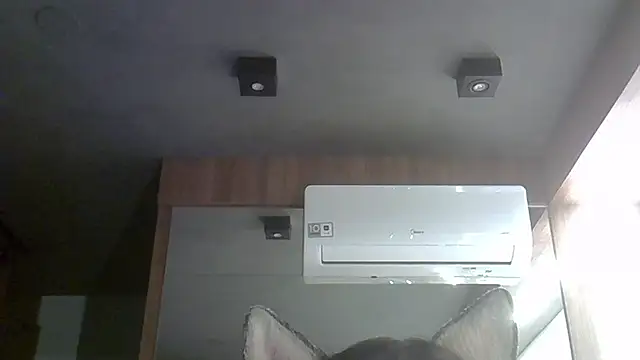 Snapshot of Skinny-Kitten chatting on October 2025 12:30:01 AM Skinny-Kitten online show from October 2025 12:30:01 AM