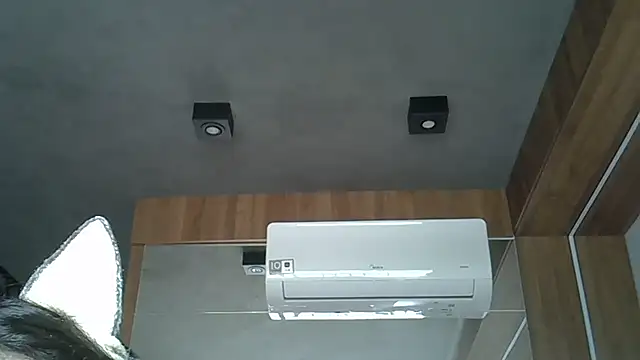 Snapshot of Skinny-Kitten chatting on October 2025 12:36:02 PM Skinny-Kitten online show from October 2025 12:36:02 PM