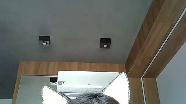 Snapshot of Skinny-Kitten chatting on October 2025 02:27:02 PM Skinny-Kitten online show from October 2025 02:27:02 PM