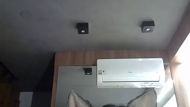 Snapshot of Skinny-Kitten chatting on October 2025 02:33:01 AM Skinny-Kitten online show from October 2025 02:33:01 AM