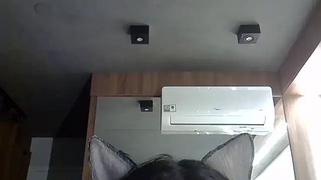 Snapshot of Skinny-Kitten chatting on October 2025 01:39:01 AM Skinny-Kitten online show from October 2025 01:39:01 AM