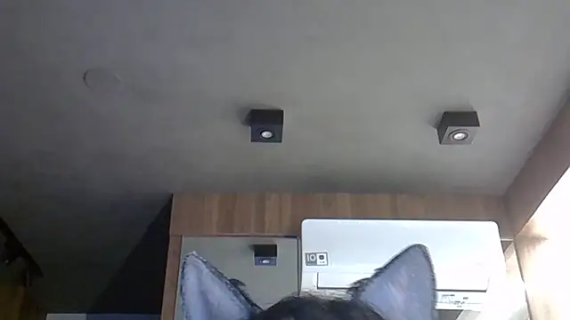 Snapshot of Skinny-Kitten chatting on October 2025 09:21:02 AM Skinny-Kitten online show from October 2025 09:21:02 AM