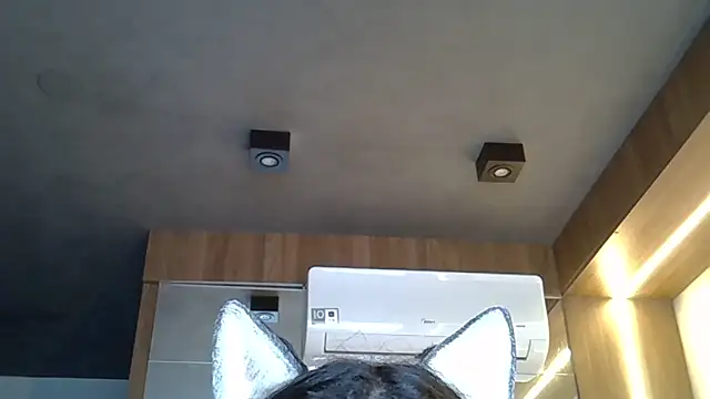 Snapshot of Skinny-Kitten chatting on November 2025 09:33:02 AM Skinny-Kitten online show from November 2025 09:33:02 AM