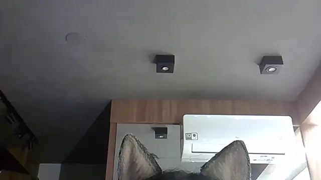 Snapshot of Skinny-Kitten chatting on November 2025 03:39:02 AM Skinny-Kitten online show from November 2025 03:39:02 AM