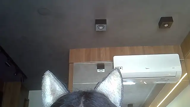 Snapshot of Skinny-Kitten chatting on November 2025 12:16:01 PM Skinny-Kitten online show from November 2025 12:16:01 PM