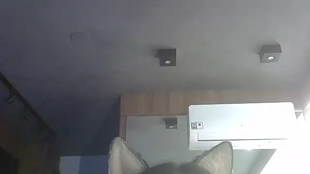 Snapshot of Skinny-Kitten chatting on December 2025 09:47:02 AM Skinny-Kitten online show from December 2025 09:47:02 AM