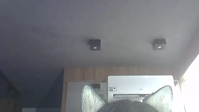 Snapshot of Skinny-Kitten chatting on December 2025 11:14:02 PM Skinny-Kitten online show from December 2025 11:14:02 PM