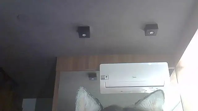 Snapshot of Skinny-Kitten chatting on December 2025 02:50:01 AM Skinny-Kitten online show from December 2025 02:50:01 AM