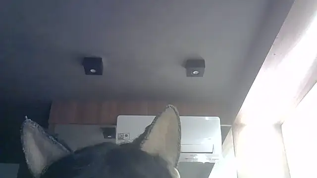 Skinny-Kitten online show from May 2026 09:29:02 AM