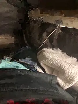 Snapshot of prekumstud chatting on November 2025 02:32:01 PM prekumstud online show from November 2025 02:32:01 PM