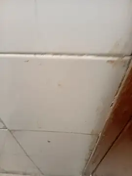 Snapshot of ManBlackhot chatting on April 2026 02:25:01 PM ManBlackhot online show from April 2026 02:25:01 PM