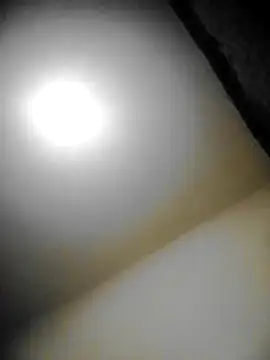 bestofyalcinturkey online show from January 2025 05:05:01 PM