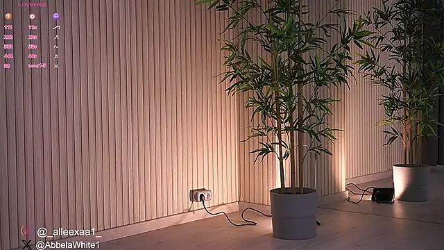 Abbela White online show from January 2025 09:23:02 AM