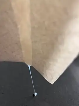 alieno27 online show from December 2024 10:02:02 PM