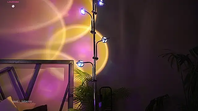 Snapshot of TataCoy chatting on February 2026 04:07:02 PM TataCoy online show from February 2026 04:07:02 PM