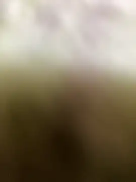 Snapshot of par_0111 chatting on May 2026 03:05:01 PM par 0111 online show from May 2026 03:05:01 PM