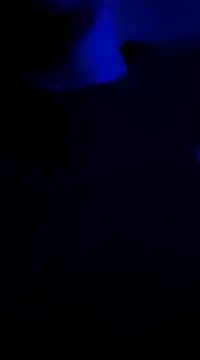 Midwestalpha online show from January 2025 10:02:02 AM