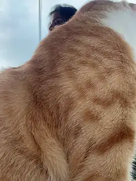 GigiiStone online show from March 2025 10:20:01 PM