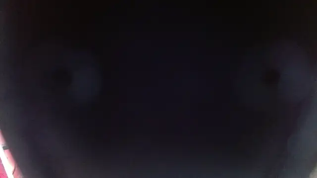 sofia perez    online show from December 2024 07:49:02 PM