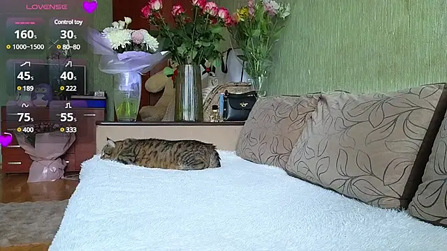 Miss Flexi fit online show from March 2025 08:37:01 AM