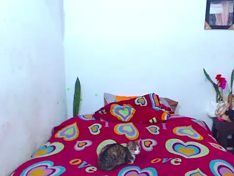 Snapshot of The_wickles_4443 chatting on February 2025 04:09:02 PM The wickles 4443 online show from February 2025 04:09:02 PM