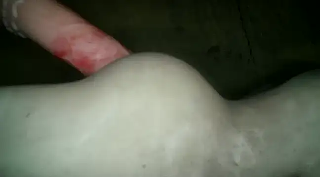 xxxlecram online show from January 2025 12:09:01 PM