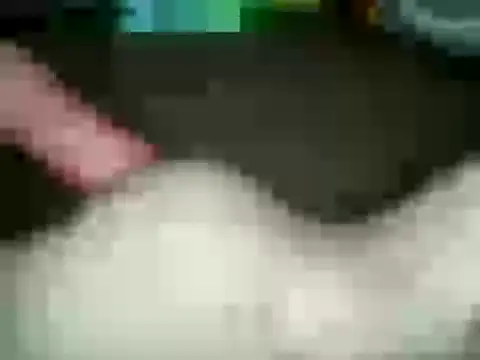 xxxlecram online show from January 2025 11:53:02 AM