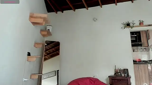 Rainbow leia online show from February 2026 07:26:01 PM