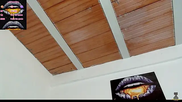 drake brwon 23 online show from February 2025 12:00:02 PM