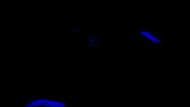 nzanizy online show from January 2025 06:57:02 PM