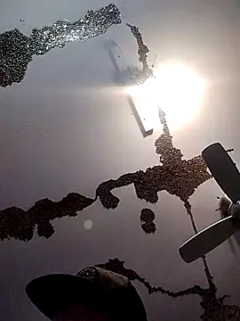 Snapshot of ColdVisitor chatting on March 2025 06:38:02 AM ColdVisitor online show from March 2025 06:38:02 AM