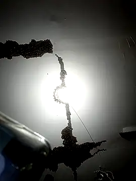 ColdVisitor online show from February 2026 01:32:01 AM