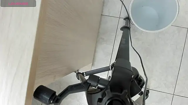 valery smitd online show from December 2024 12:44:02 PM