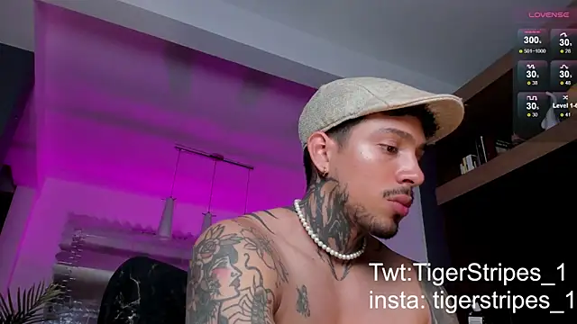 Snapshot of TigerStripes1_ chatting on February 2025 10:32:01 PM TigerStripes1 online show from February 2025 10:32:01 PM