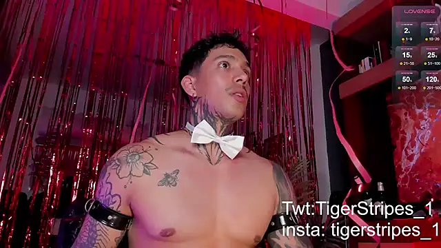 Snapshot of TigerStripes1_ chatting on February 2025 12:15:01 AM TigerStripes1 online show from February 2025 12:15:01 AM