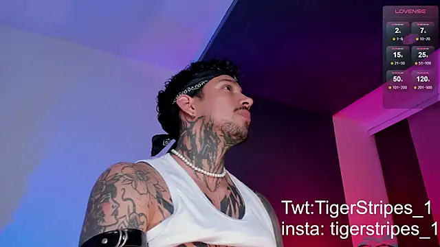 Snapshot of TigerStripes1_ chatting on March 2025 10:42:01 PM TigerStripes1 online show from March 2025 10:42:01 PM