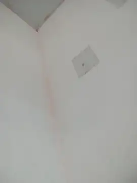 Snapshot of loiradiva29 chatting on March 2025 02:25:02 PM loiradiva29 online show from March 2025 02:25:02 PM