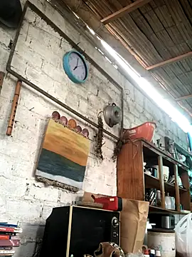 kvr27 online show from November 2025 11:52:02 AM