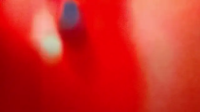 BrianaJoy online show from December 2024 07:28:02 AM