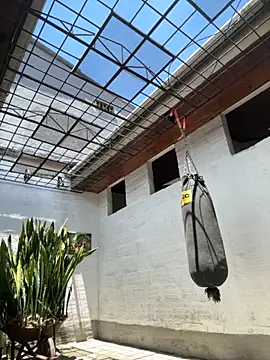 oliver price1 online show from September 2025 04:06:01 PM