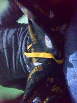 Elcogetuquieres online show from February 2025 06:33:01 AM