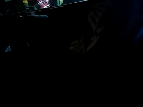 Snapshot of Kolkata___Boy chatting on September 2025 04:52:02 PM Kolkata Boy online show from September 2025 04:52:02 PM